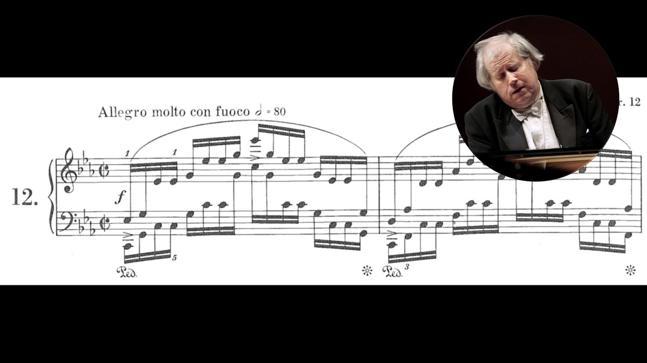 Grigory Sokolov - Chopin Etude Op.25 No.12 