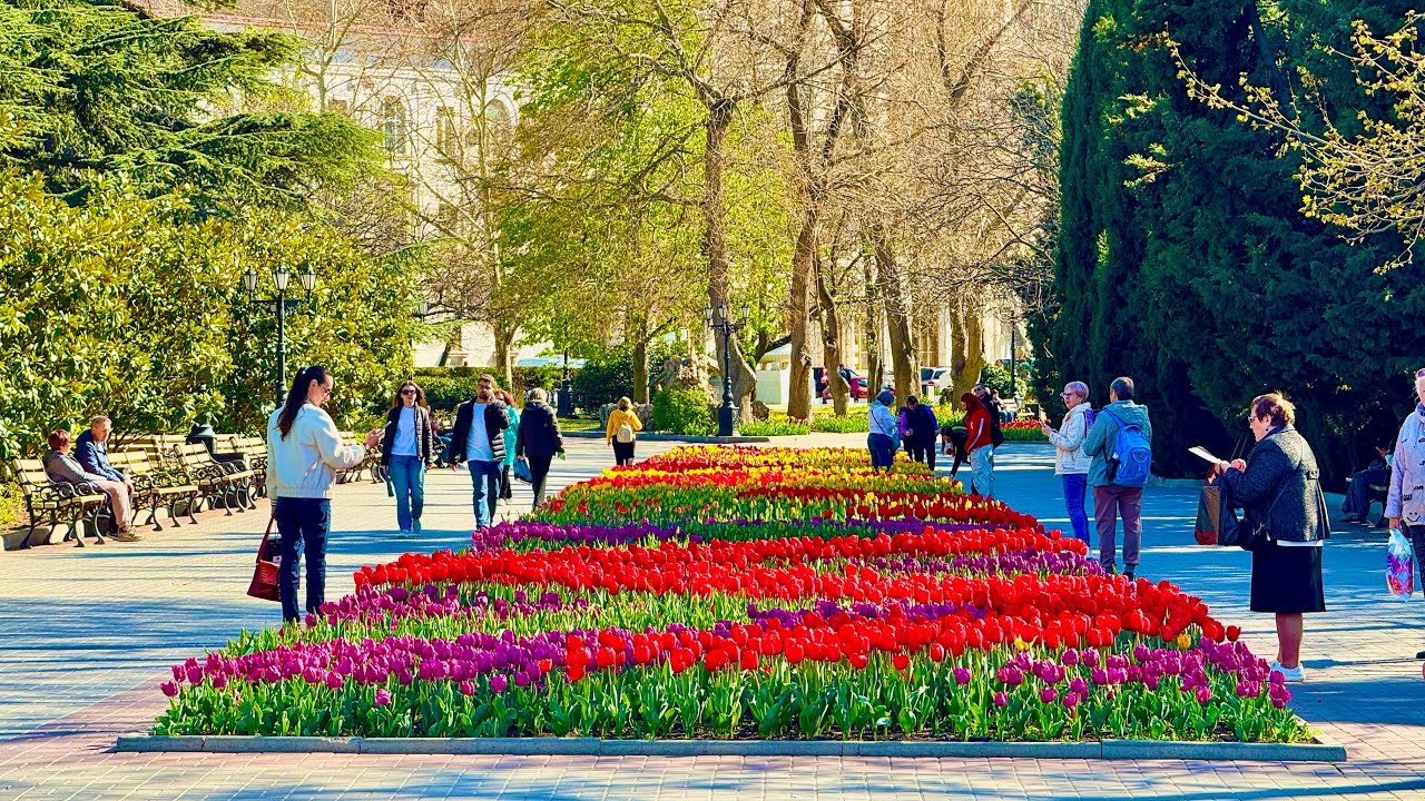 ПАРАД ТЮЛЬПАНОВ в Севастополе 2025-ОБАЛДЕТЬ! Во что ПРЕВРАТИЛИ центр ГОРОДА? Крым сегодня