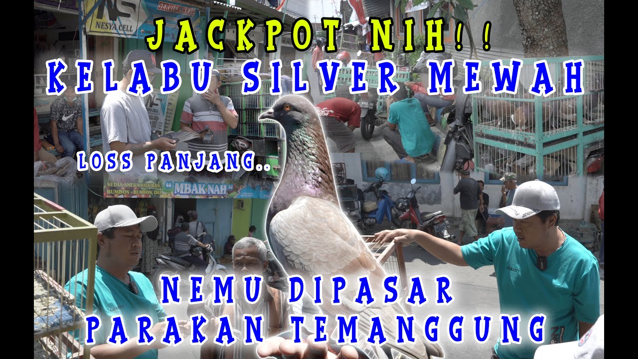 JELAJAHI PASAR PARAKAN DI KOTA TEMANGGUNG