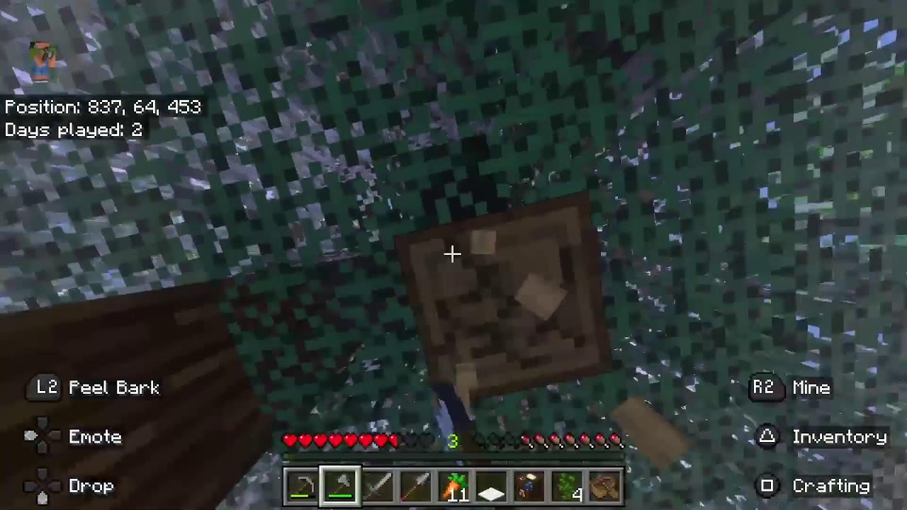 Playing minecraft