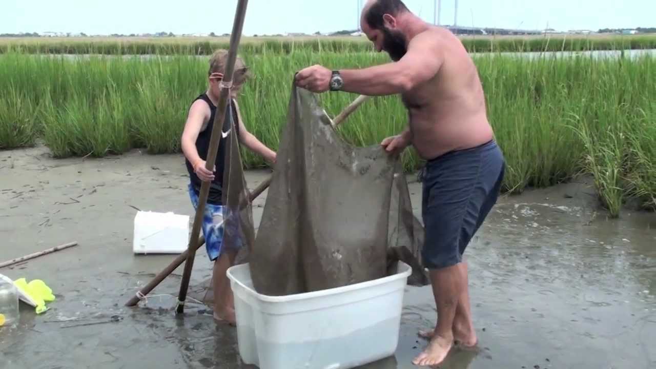 Treasure on Indian River Bay