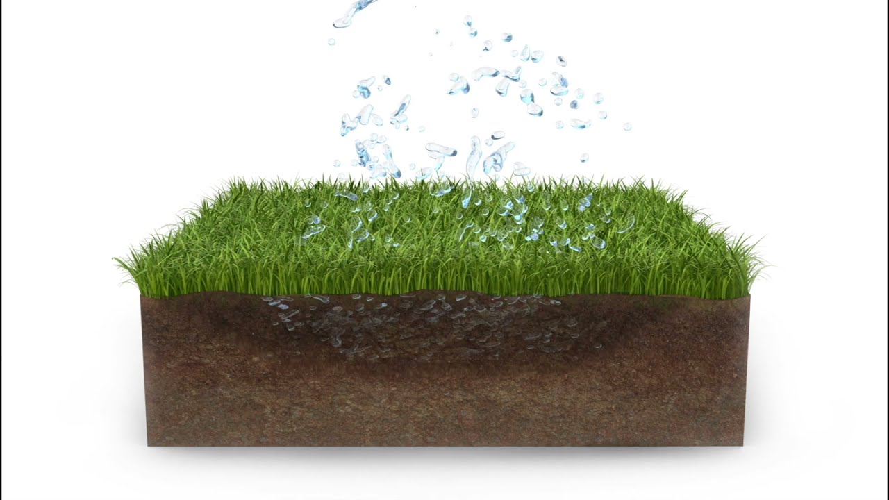 The Benefits of Paving with Grass Pavers