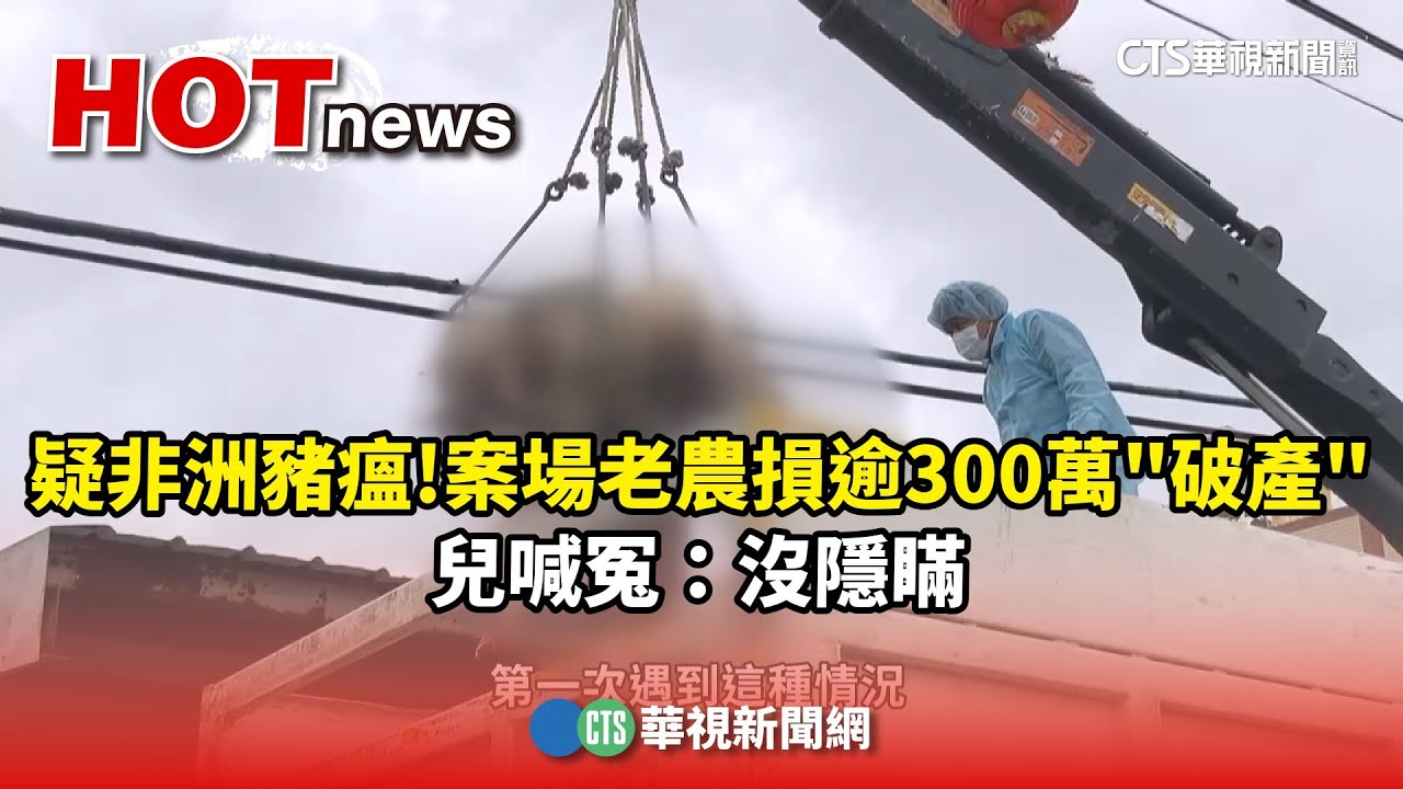 疑非洲豬瘟！案場老農損逾300萬「破產」　兒喊冤：沒隱瞞｜華視新聞 20251025 @CtsTw​