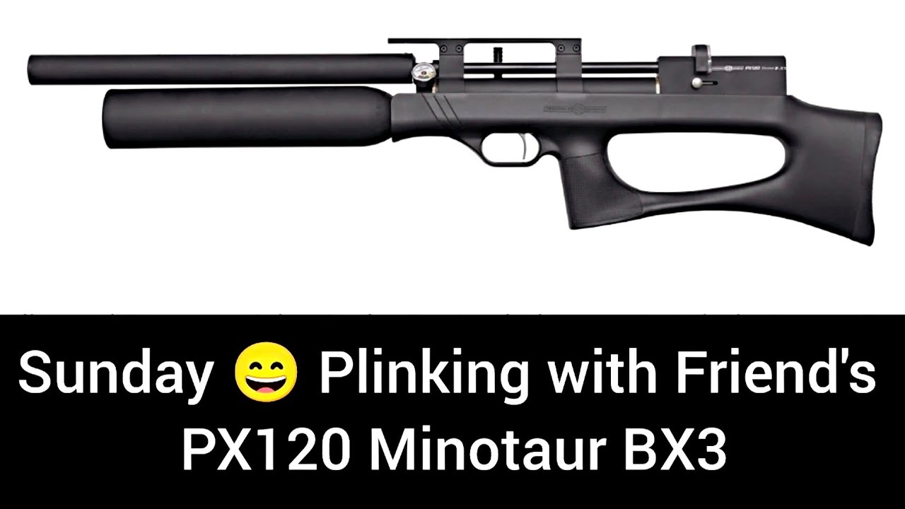 35 Meters Plinking Shooting Air Rifle 👍🏻 PX120 Minotaur BX3 pcp