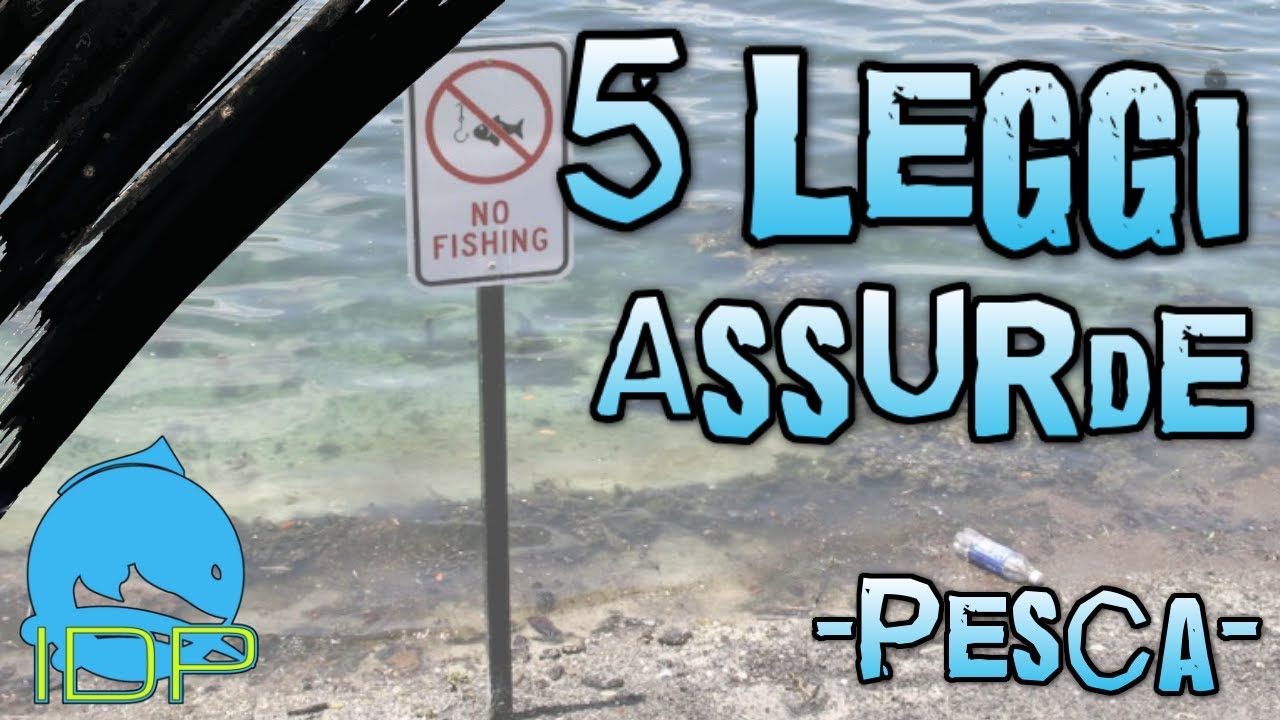 5 LEGGI ASSURDE SULLA PESCA SPORTIVA!