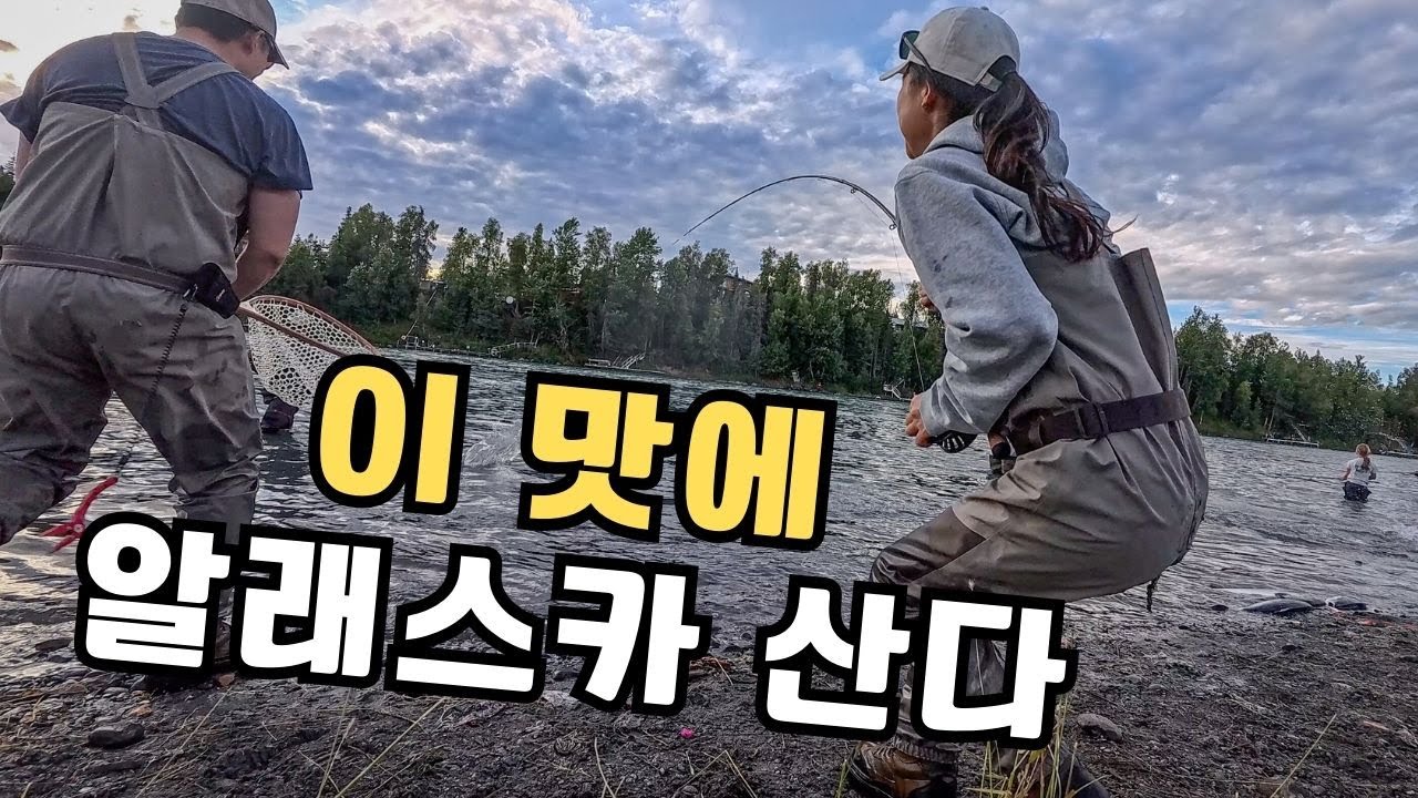 여러분, 지금 알래스카에서는 엄-청난 시즌이 찾아왔습니다