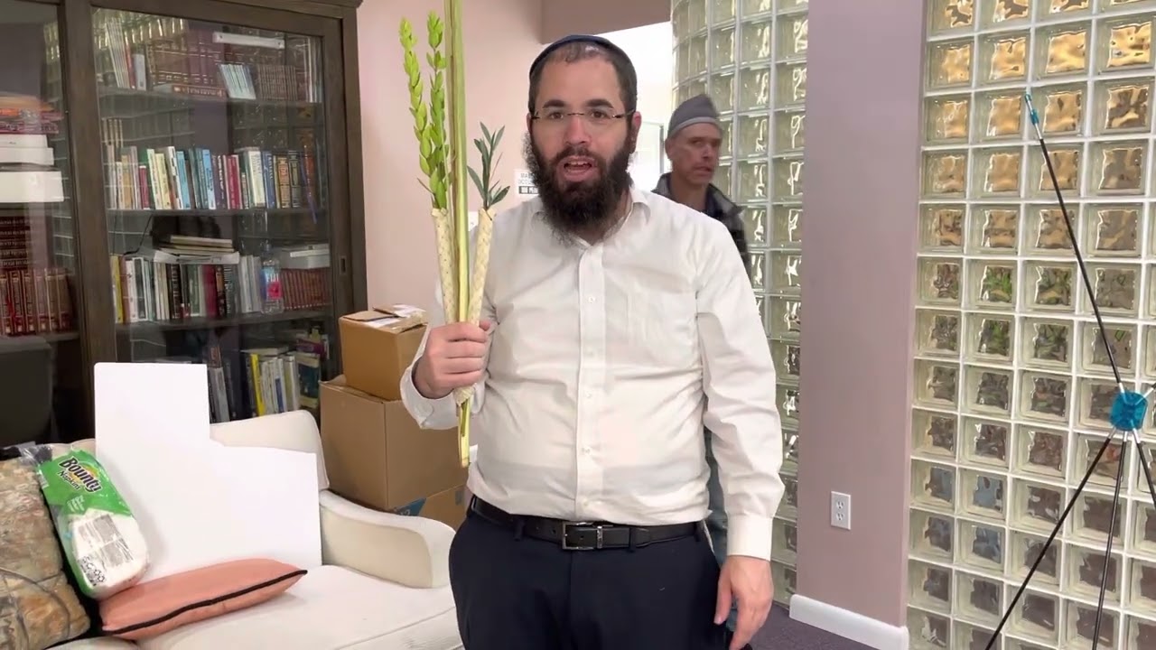 Lulav i Etrog &ndash; Jak przygotować Lulav z Brochą