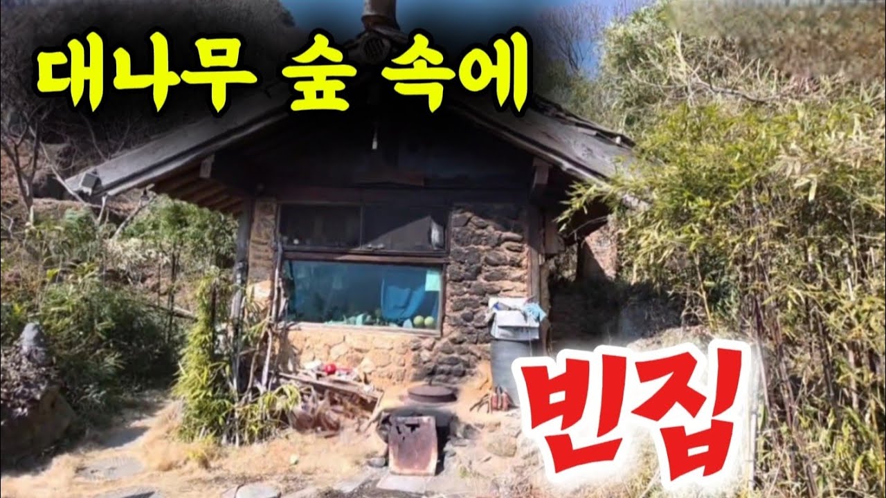 대나무 숲 속에 있는 빈집 사람들은 안보이고 자연인 은 어디로 가셨나요 