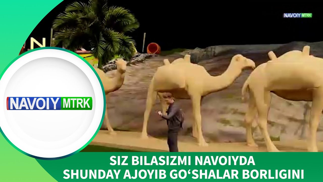 «Mavzu» | Turizm faoliyati haqida