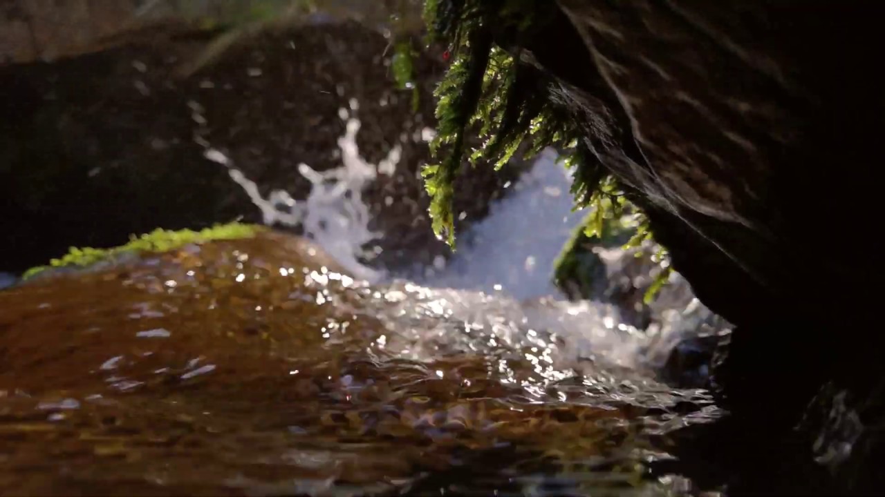 Short Cinematic Video Shot with the Huawei P40 Pro