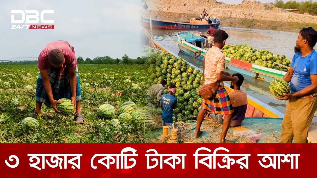 পটুয়াখালিতে তরমুজের বাম্পার ফলন: লাভের প্রত্যাশা চাষিদের | DBC NEWS