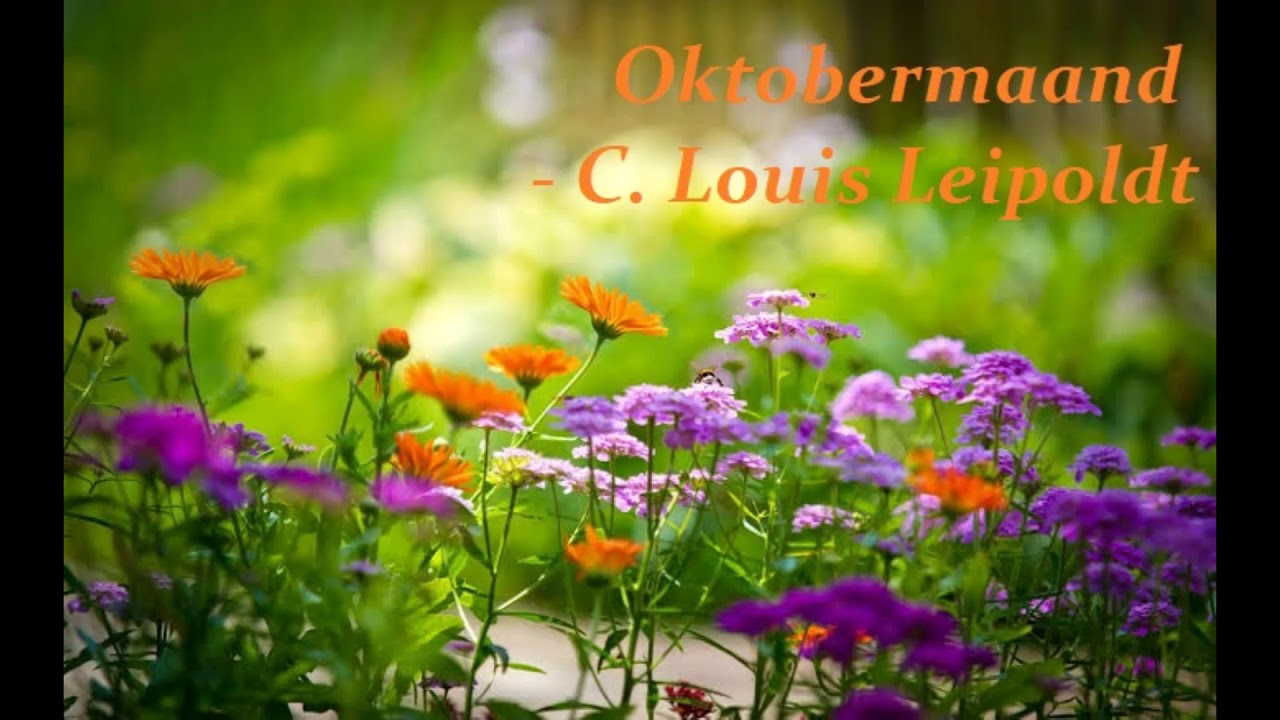 Oktobermaand - C. Louis Leipoldt - Voorlesing