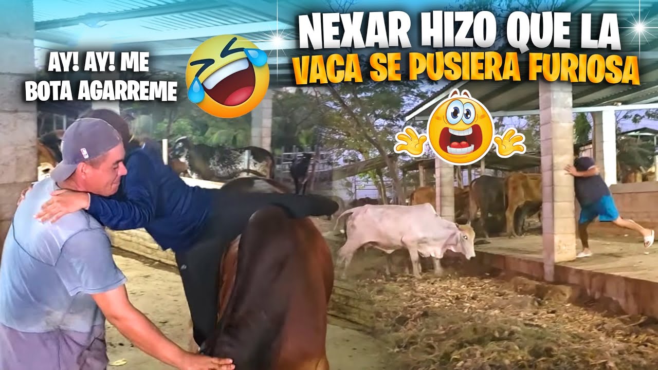 ¡NO PARARAS DE REÍR! con el tremendo susto que nos dio la vaca 🤣 ¡POBRE BRISS LE FUE MAL!