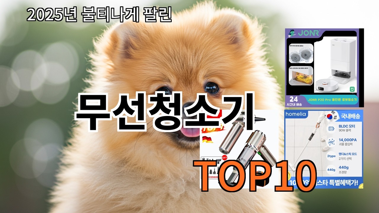 알리 무선청소기 가격 대비 성능 미친 알리 제품