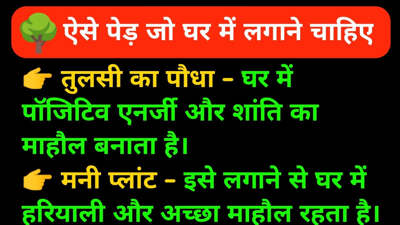 घर में लगाने वाले 7 Best Plants 🌳 हर घर में होने चाहिए