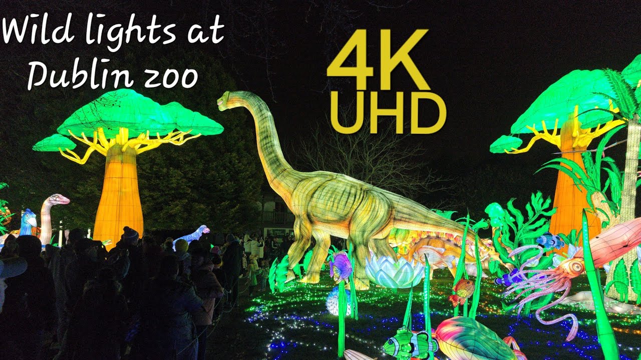 Wild Lights at Dublin Zoo 