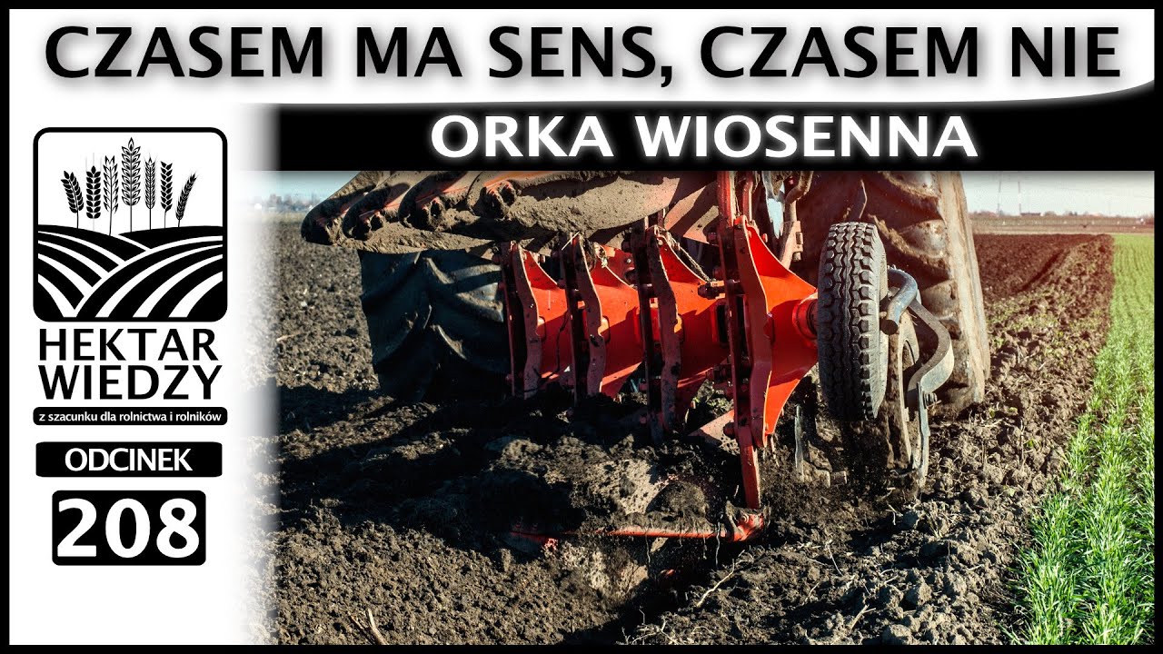 ORKA WIOSENNA   CZASEM MA SENS, CZASEM NIE  | HEKTAR WIEDZY #208