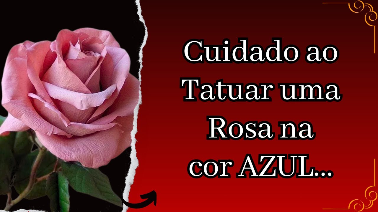 ⚜️ Significados da Tatuagem de ROSAS - #tatuagem #tatuagemmasculina #tattoo #tatuagemfeminina