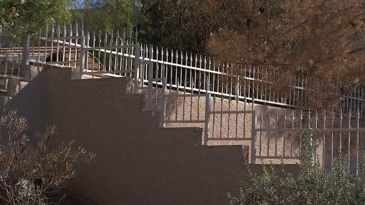 Henderson homeowner invests $15,000 in fencing after coyote kills one dog, attacks another