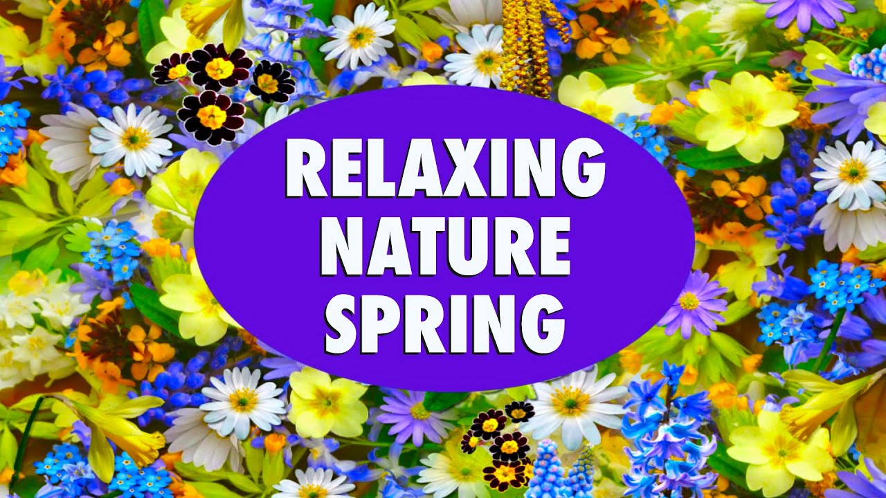 Relaxing Nature 01 | Spring | Release Your Stress Meditate with Nature