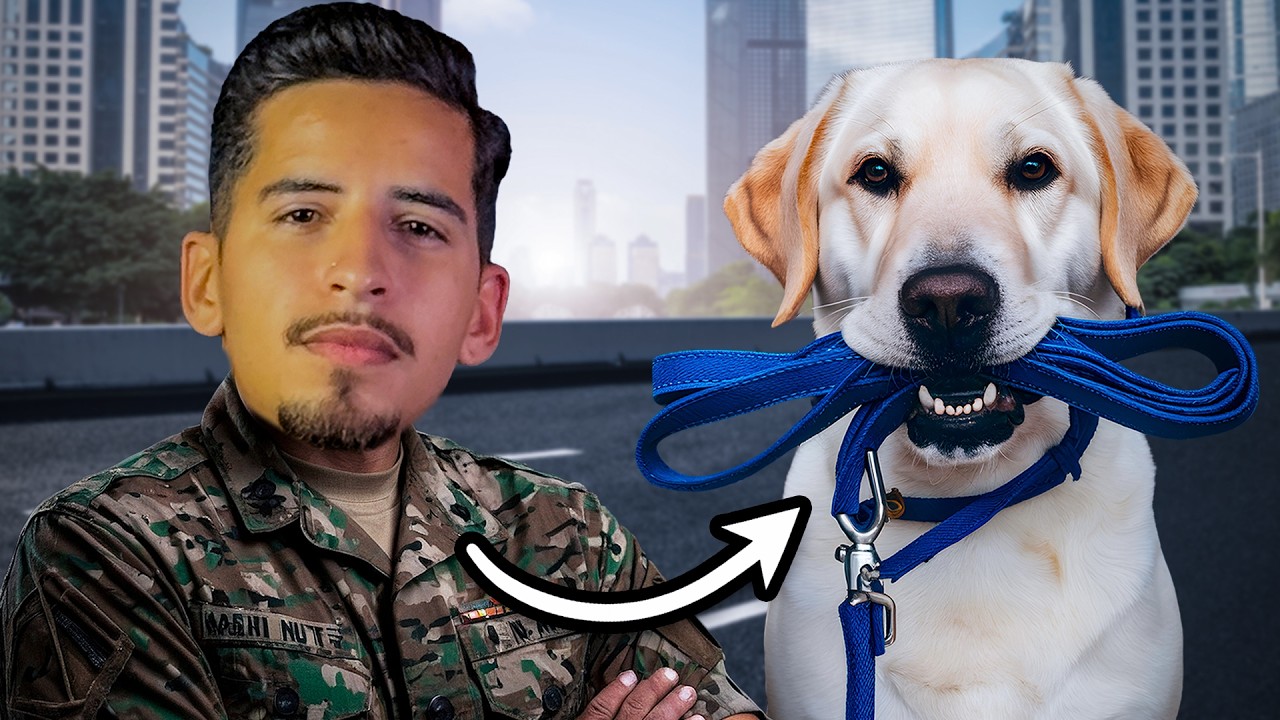 Como fazer o seu cão parar de puxar a guia no passeio?