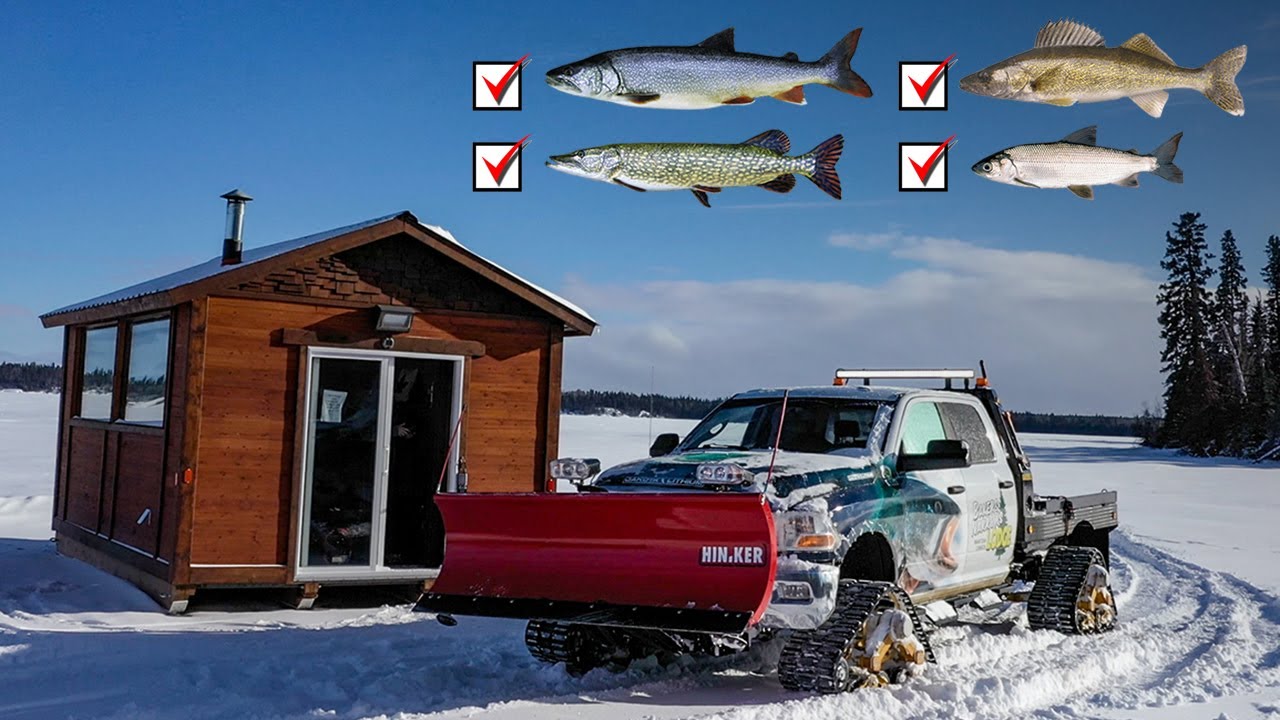 Multi-species adventure at Bakers Narrows Lodge
