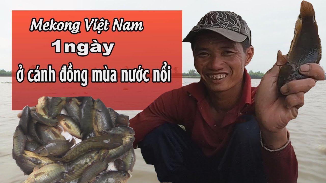 Hạ lưu sông Mekong: 1 ngày ở cánh đồng mùa nước nổi