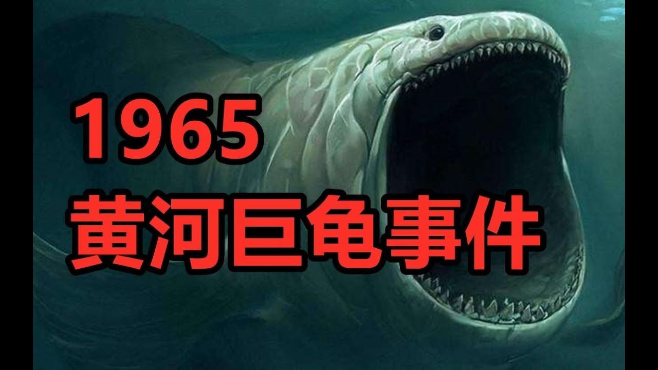 【鬼叔怪谈】1965年黄河巨龟事件，比卡车还要大，是真的吗？