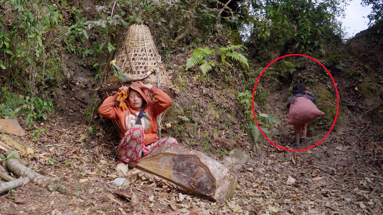 manjita finding foliage with her son Niyabung in near jungle of her shed || shepherd life ||