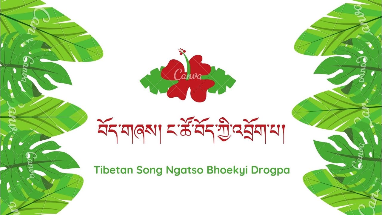 Tibetan Song Ngatso Bhoekyi Drogpa Lyrics བོད་གཞས། ང་ཚོ་བོད་ཀྱི་འབྲོག་པ། གཞས་ཚིག །
