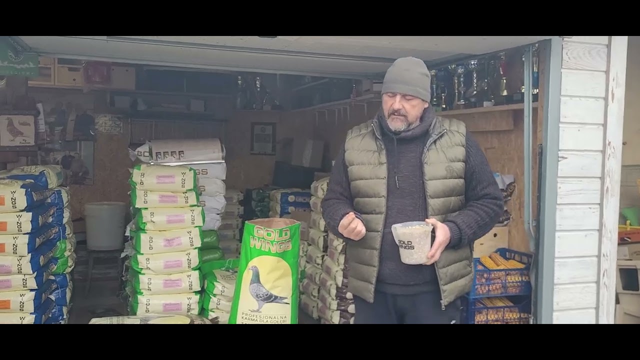 Maciej Włudzik  . Soja w karmach GOLD WINGS