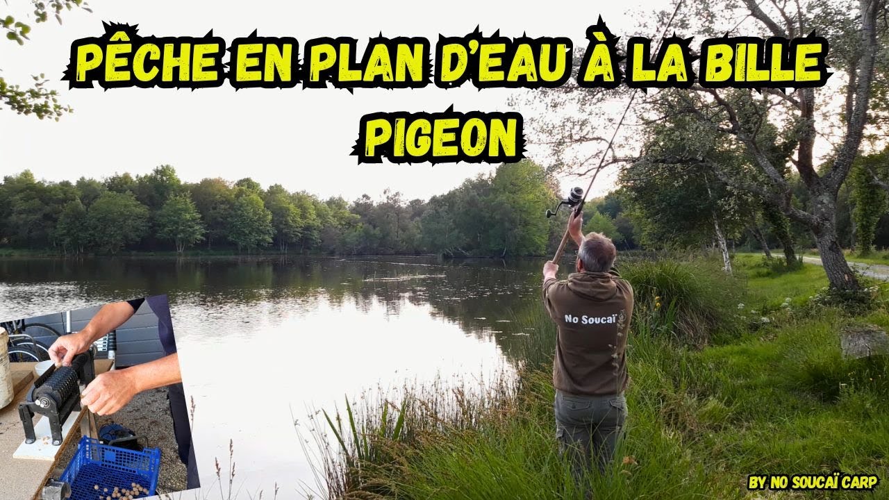 Pêche en plan d'eau à la bille pigeon