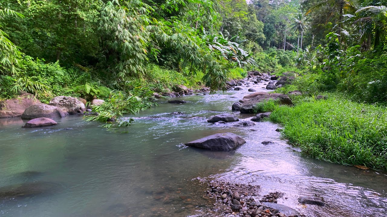 Beat Stress & Fall Asleep Fast with Gentle and Relaxing River Sounds in Green Nature