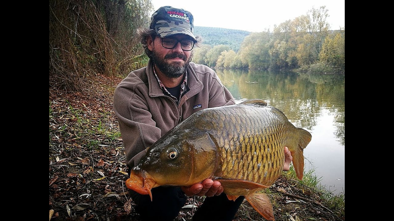 FEEDER FISHING - CARPE DI FIUME -