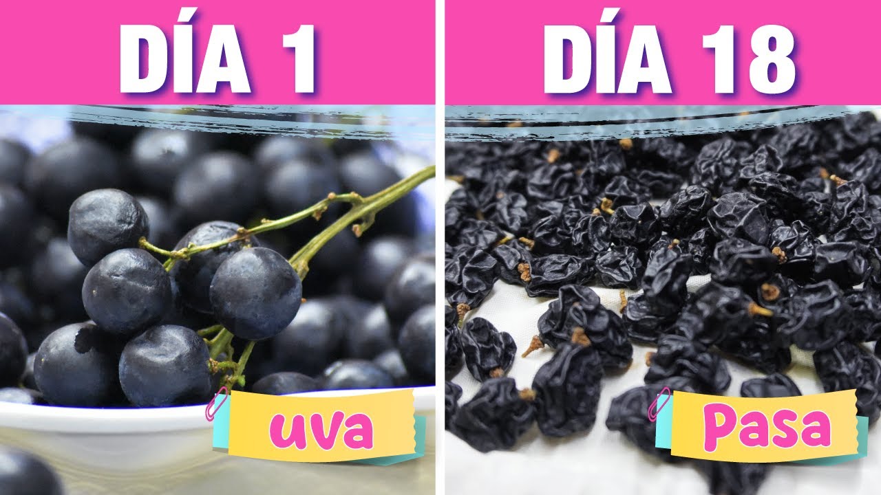 🍇 &iquest;Sabes c&oacute;mo se hace la UVA PASA? | Aprende a hacerlo y cons&eacute;rvalas por meses