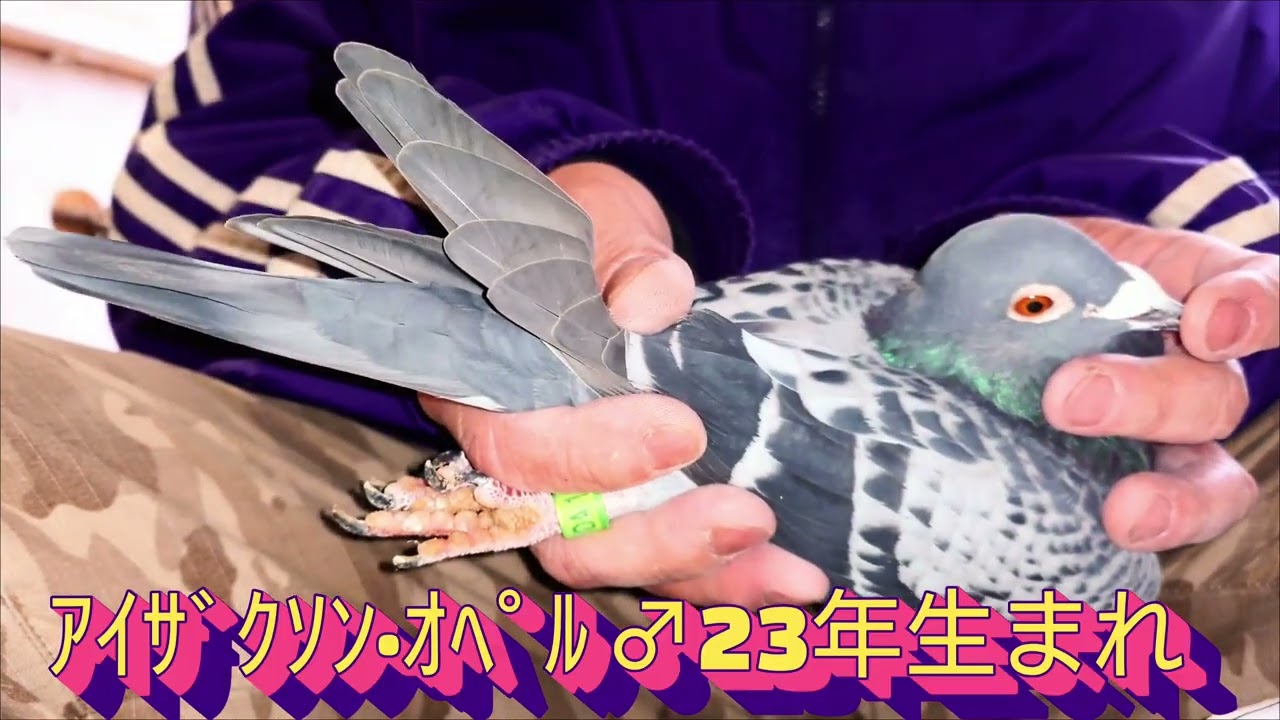 年度末は何かと気分も落ちがち
