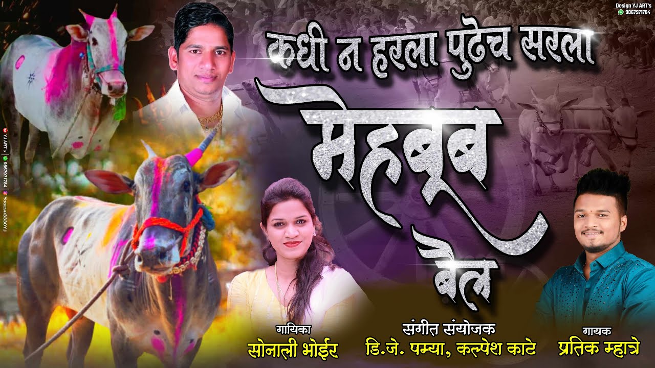 कधी न हरला पुढेच सरला मेहबूब बैल  Pratik Mhatre, Sonali bhoir  // New Bailgada Song // Maheboob Bail