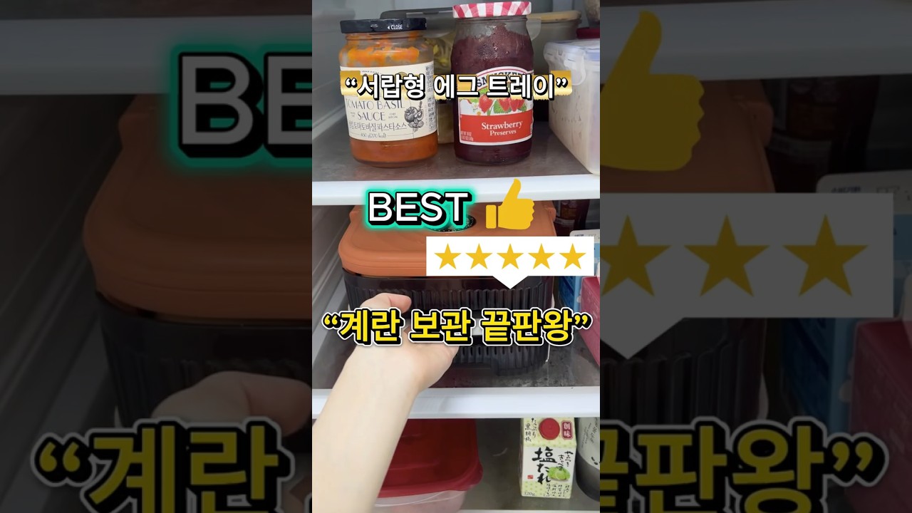 서랍형 에그 트레이! 냉장고 정리 필수템” 