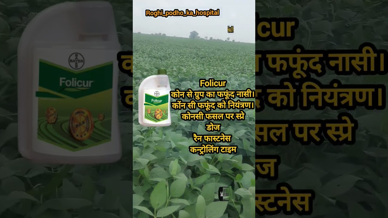 Bayer folicur #shortsfeed #shortvideo #shorts #short #shortsvideo #shortsyoutube #bayer #folicur