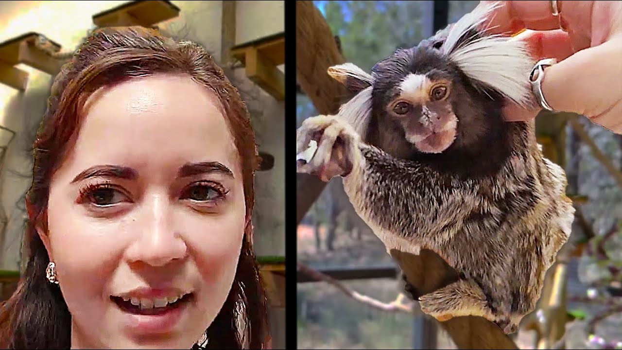 Maya chills with the monkeys and gives RARE scratches at Alveus