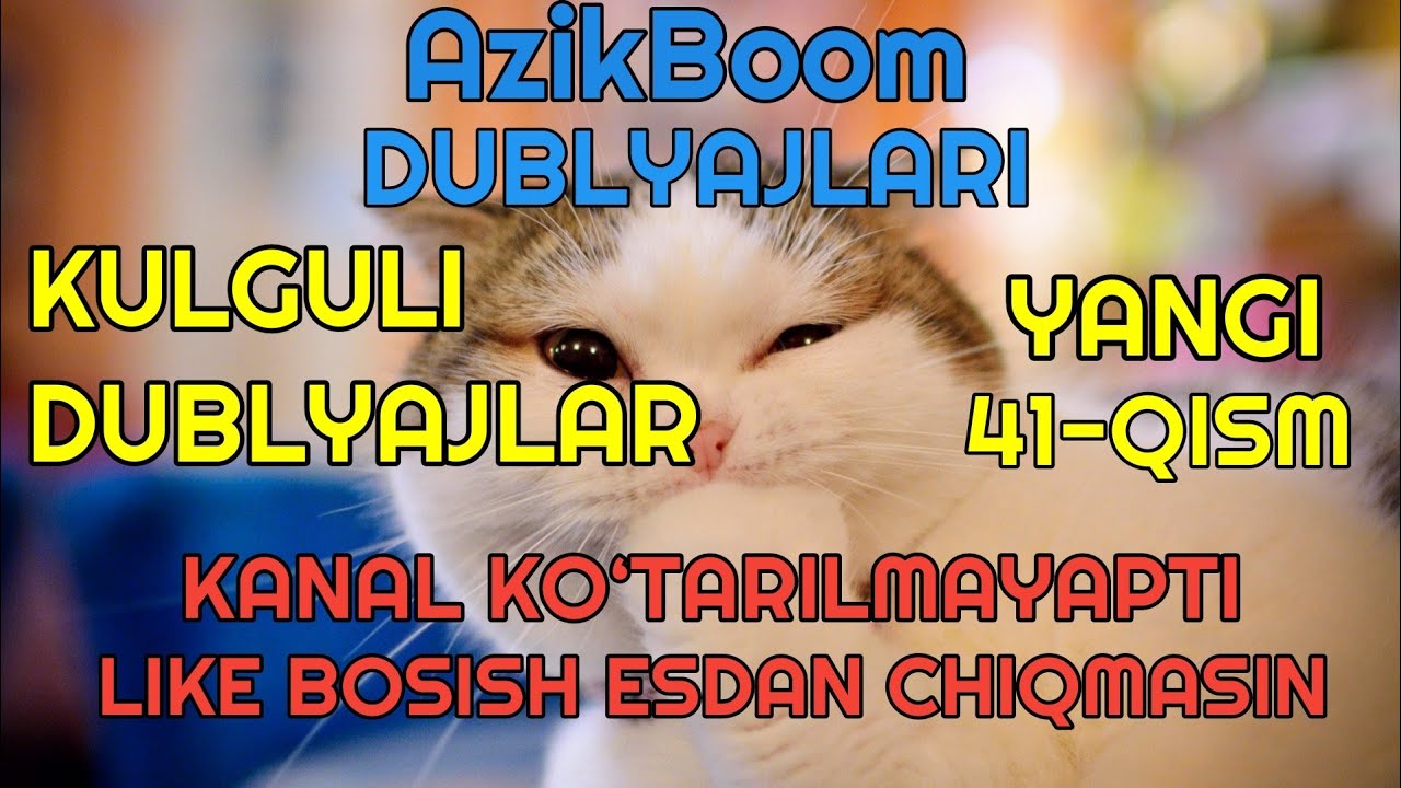 AzikBoom kulguli dublyajlari | Mushukvoy najim 41-Qism | like bosish esdan chiqmasin !