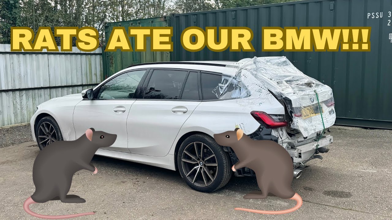 DID WE WASTE £10K BUYING A CAR AT COPART SALVAGE AUCTION? PT2