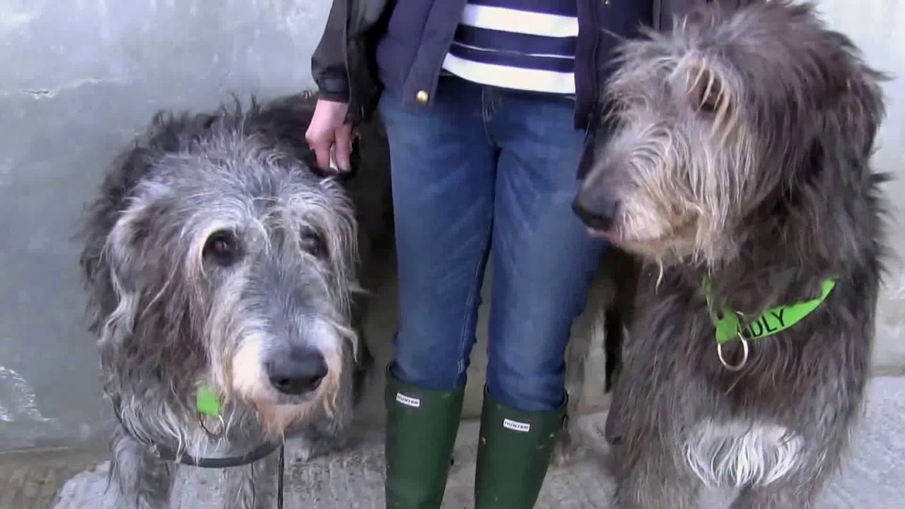 Copy of Padstow North Cornwall Dec/Jan 2015 stabilizer 2