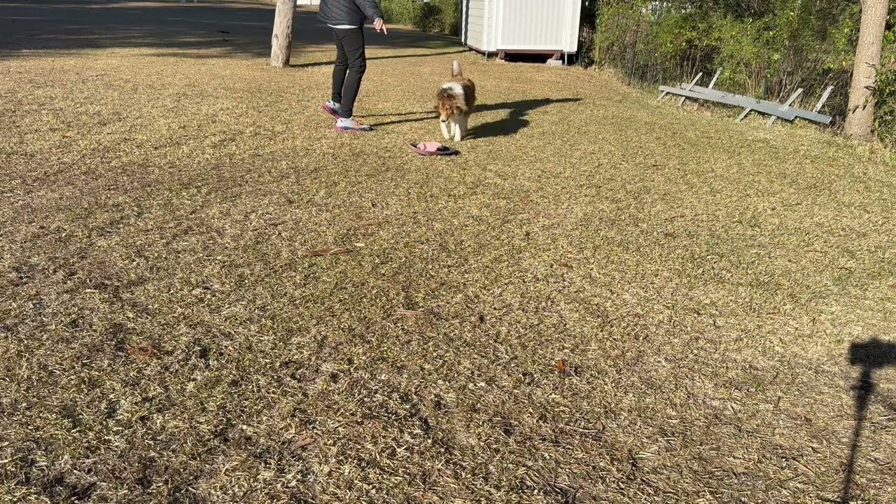 Wk 3 prop games counter motion with food