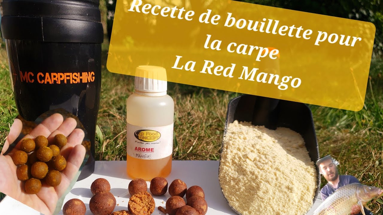 Recette de bouillette pour la carpe. La Red Mango
