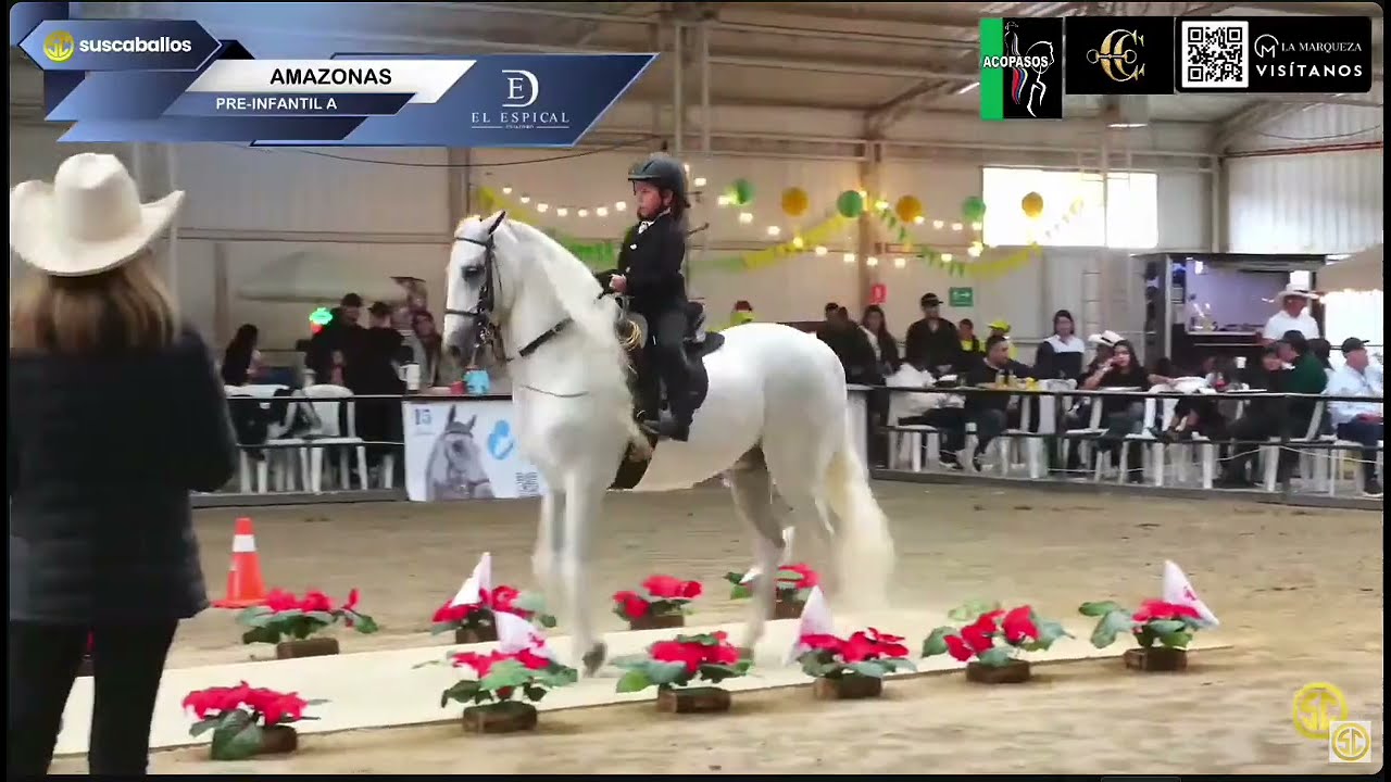 V Valida Nacional Caballos de Paso | Tabio | Julieta Suarez Erazo | PreInfantil A