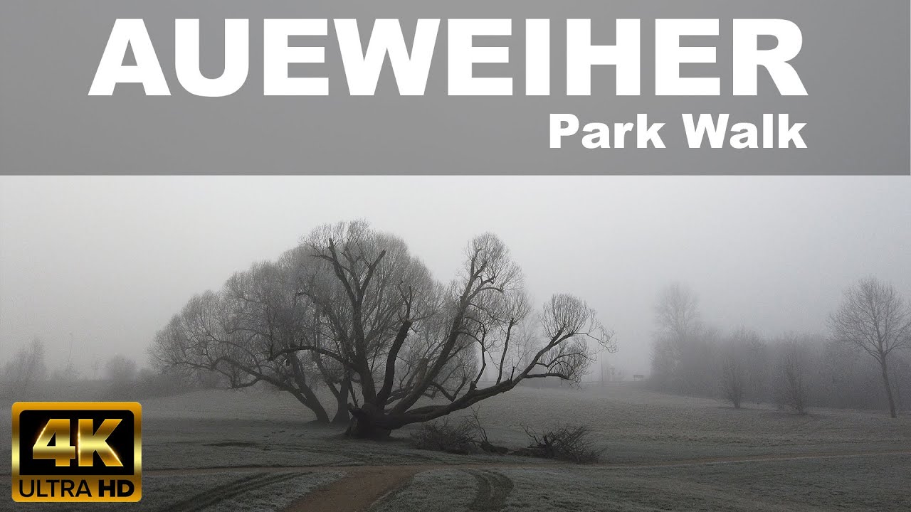 WALKING IN AUEWEIHER PARK, FULDA  | ❄ | 🇩🇪 | GERMANY | Foggy  and Frosted Day