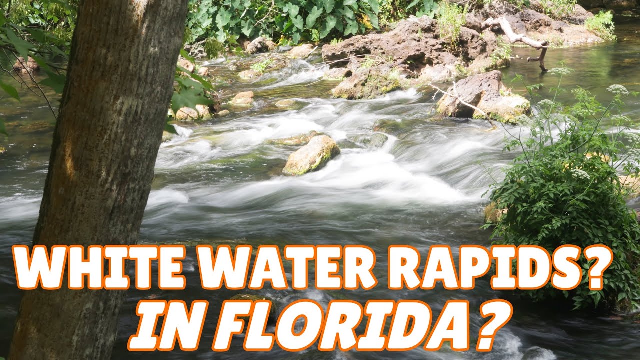 Florida Hikers & Kayakers: A State Park with White Water Rapids! | Hillsborough River State Park