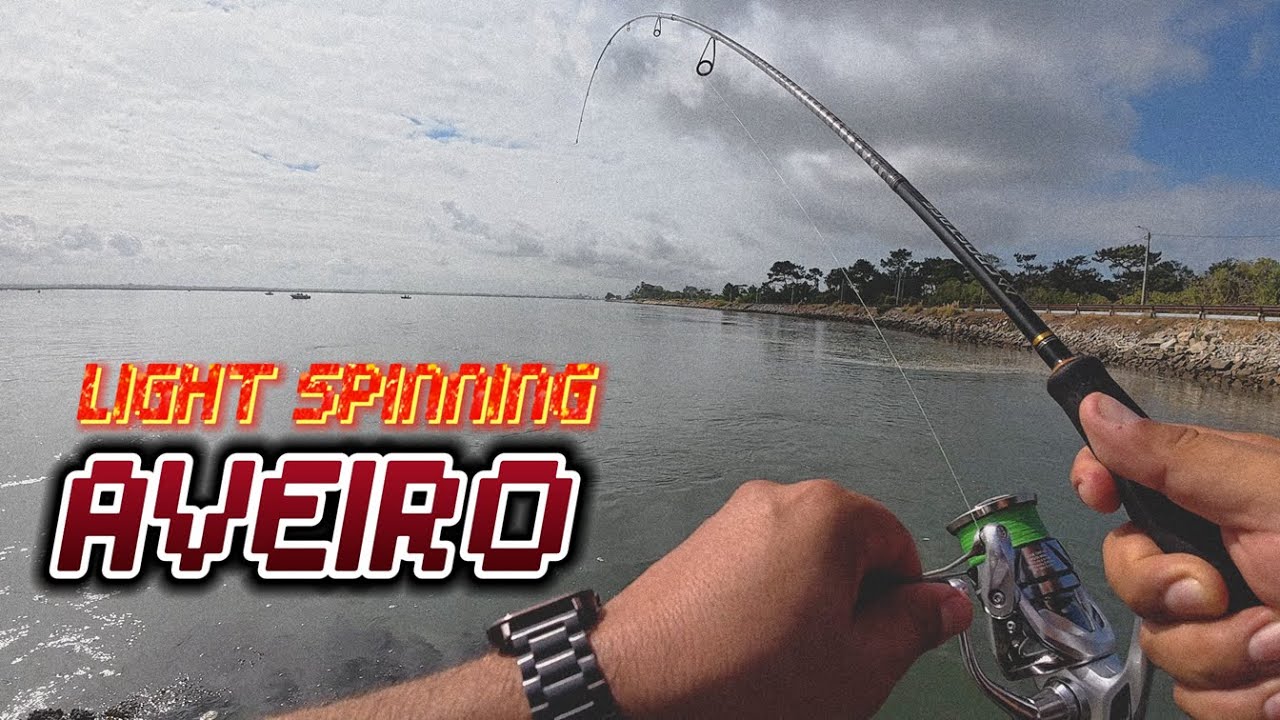 LIGHT SPINNING - AVEIRO ( com direito a ferragem no👍🏻)