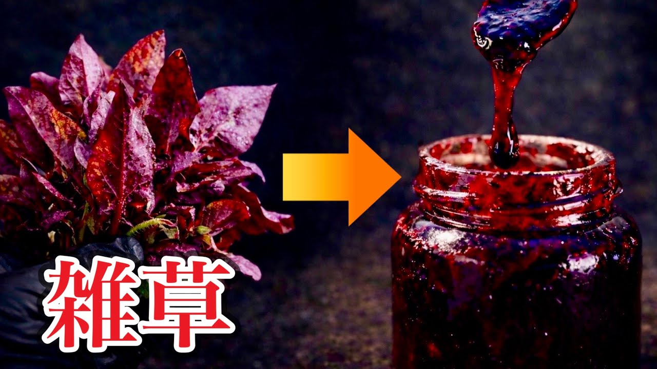 【錬成】冬の雑草を煮たら、高級ジャムになってしまった
